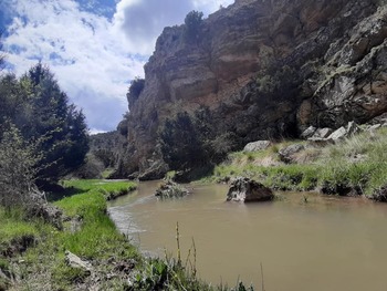 Alertan de proyecto de ganadería intensiva en Valle del Mesa